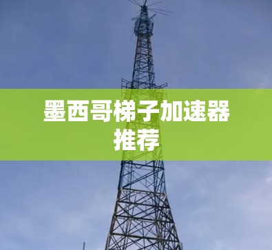 墨西哥梯子加速器推荐