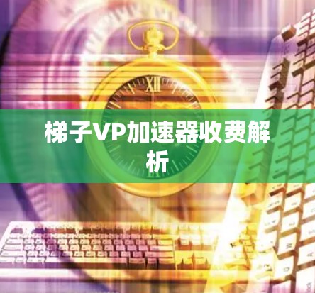 梯子VP加速器收费解析