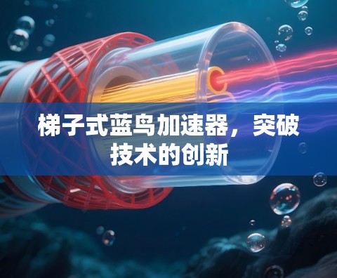 梯子式蓝鸟加速器，突破技术的创新