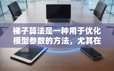 梯子算法是一种用于优化模型参数的方法，尤其在训练大型深度学习模型时非常有效。它通常基于梯度下降，结合了二阶导数的计算和优化技巧，以加速收敛速度。以下是梯子算法的详细解释