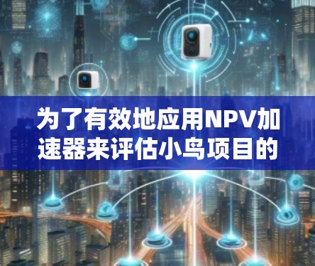 为了有效地应用NPV加速器来评估小鸟项目的可行性，可以按照以下步骤进行