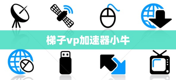 梯子vp加速器小牛