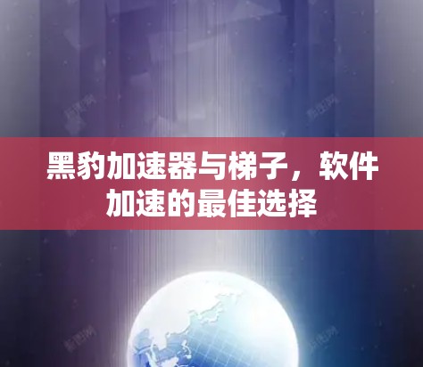黑豹加速器与梯子，软件加速的最佳选择
