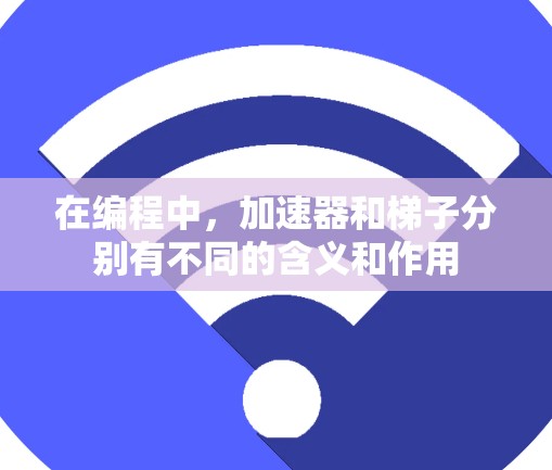 在编程中，加速器和梯子分别有不同的含义和作用