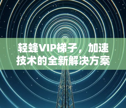 轻蜂VIP梯子，加速技术的全新解决方案