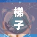 梯子节点加速器是一种用于提升机器学习模型训练速度的加速技术，通常与GPU或TPU等高性能设备结合使用。以下是详细的步骤和方法，帮助您理解和应用梯子节点加速器