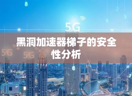 黑洞加速器梯子的安全性分析