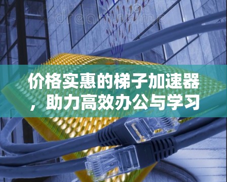 价格实惠的梯子加速器，助力高效办公与学习