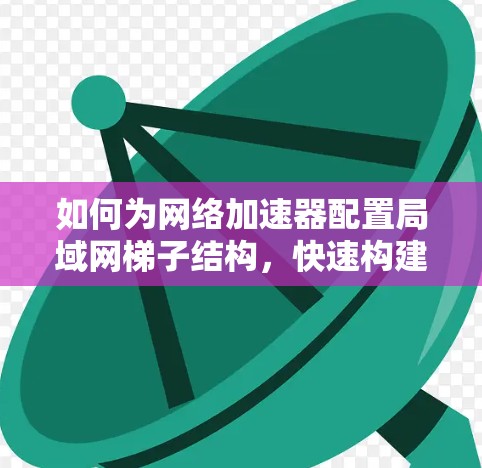 如何为网络加速器配置局域网梯子结构，快速构建网络架构