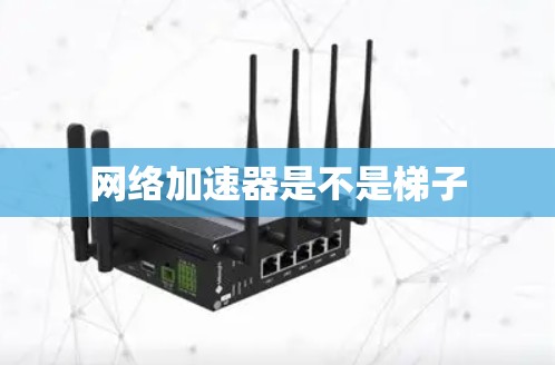 网络加速器是不是梯子