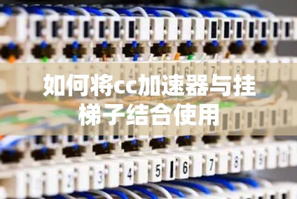 如何将cc加速器与挂梯子结合使用