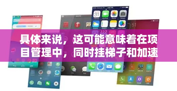 具体来说，这可能意味着在项目管理中，同时挂梯子和加速器作为管理工具，如梯子用于挂项目进度，而加速器用于加快项目进展。这种情况下，梯子和加速器可能需要协调使用，确保它们能够同时挂，从而管理项目