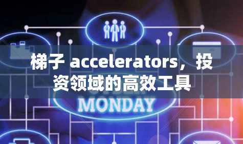 梯子 accelerators，投资领域的高效工具