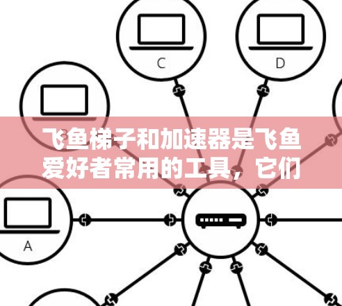 飞鱼梯子和加速器是飞鱼爱好者常用的工具，它们在飞行中起到了关键的作用。以下是一个分步的指南，帮助您学习如何使用飞鱼梯子加速器