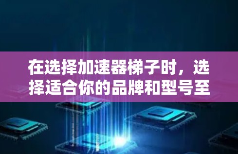在选择加速器梯子时，选择适合你的品牌和型号至关重要。以下是一些常见的品牌和它们的特点