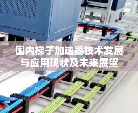 国内梯子加速器技术发展与应用现状及未来展望