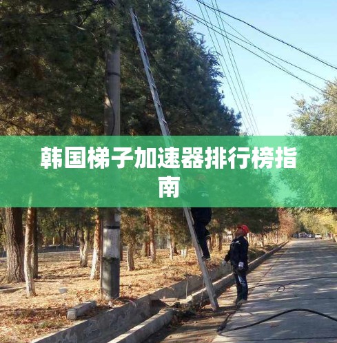 韩国梯子加速器排行榜指南