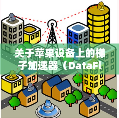 关于苹果设备上的梯子加速器（DataFlow）以下是常见的加速器及其相关信息