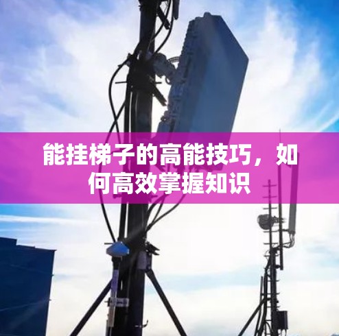 能挂梯子的高能技巧，如何高效掌握知识