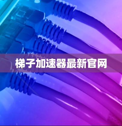 梯子加速器最新官网