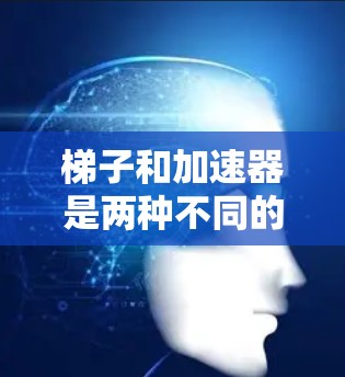 梯子和加速器是两种不同的事物，主要区别如下