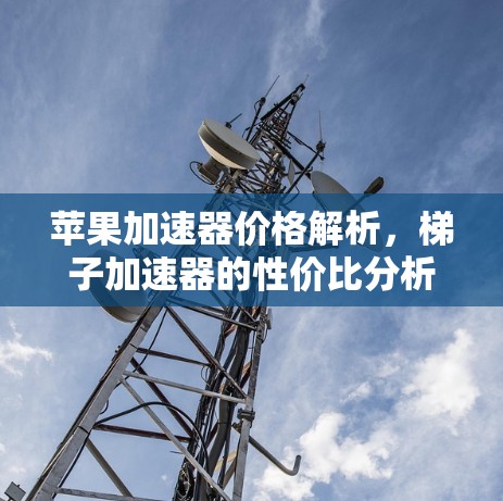 苹果加速器价格解析，梯子加速器的性价比分析