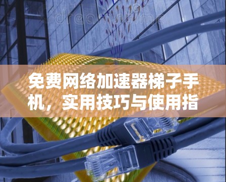 免费网络加速器梯子手机，实用技巧与使用指南