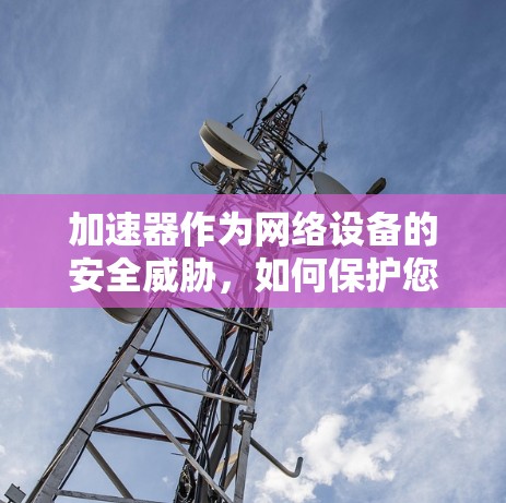 加速器作为网络设备的安全威胁，如何保护您的网络？