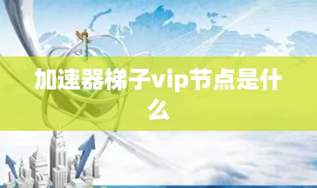 加速器梯子vip节点是什么