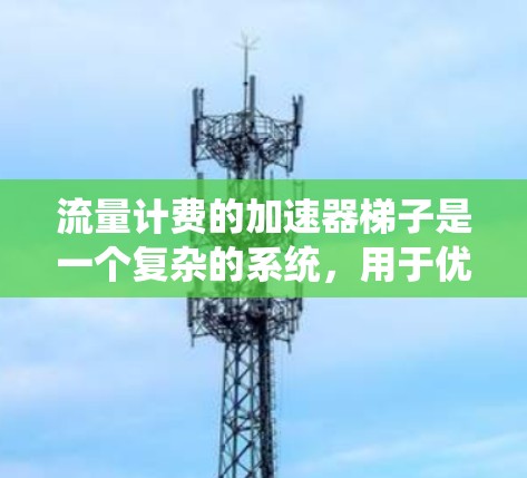 流量计费的加速器梯子是一个复杂的系统，用于优化流量计费流程。以下是对该梯子结构和功能的详细解释