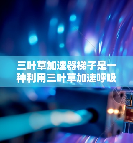 三叶草加速器梯子是一种利用三叶草加速呼吸的装置，结合梯子的结构设计，通过增加呼吸效率来提升氧气和二氧化碳交换的效率。以下是对此装置的详细分析