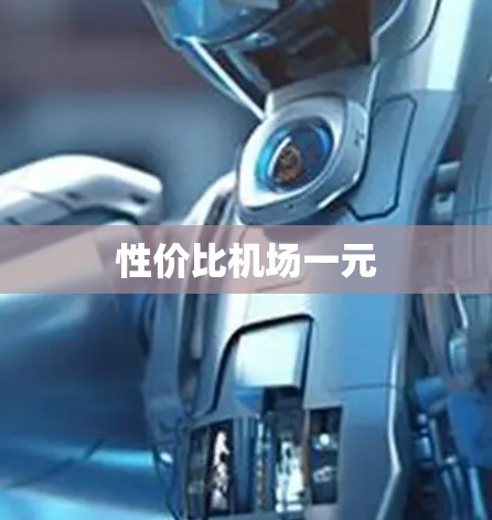 性价比机场一元