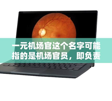 一元机场官这个名字可能指的是机场官员，即负责管理机场运营的人员。这类官员通常包括