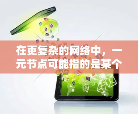 在更复杂的网络中，一元节点可能指的是某个核心系统或功能，只有它起作用，其他节点无法影响其运行。例如，在某些软件中，一元节点可能指的是某个核心功能的路径，而其他节点无法影响这一点