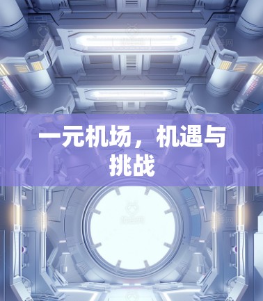 一元机场，机遇与挑战