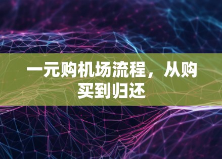 一元购机场流程，从购买到归还