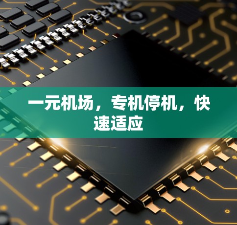 一元机场，专机停机，快速适应