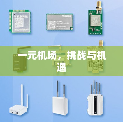 一元机场，挑战与机遇