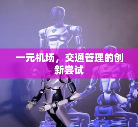 一元机场，交通管理的创新尝试