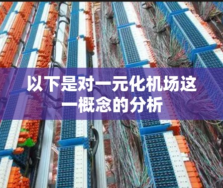 以下是对一元化机场这一概念的分析