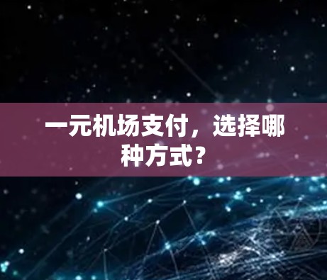 一元机场支付，选择哪种方式？