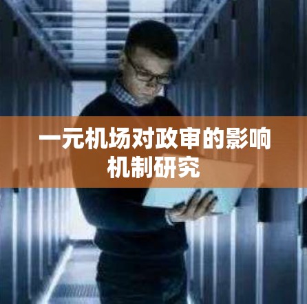 一元机场对政审的影响机制研究