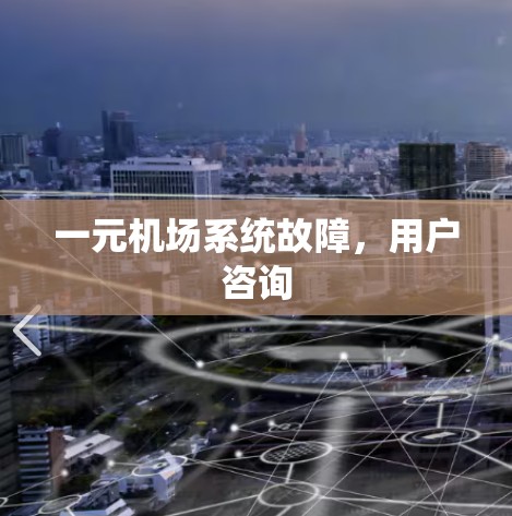 一元机场系统故障，用户咨询