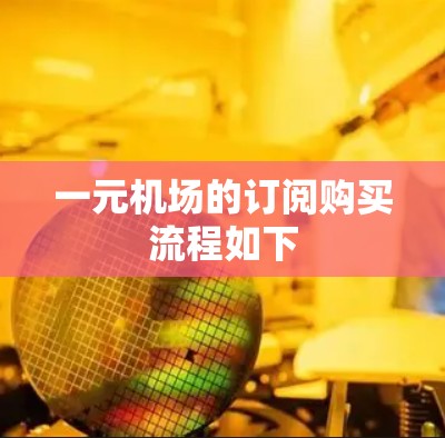 一元机场的订阅购买流程如下