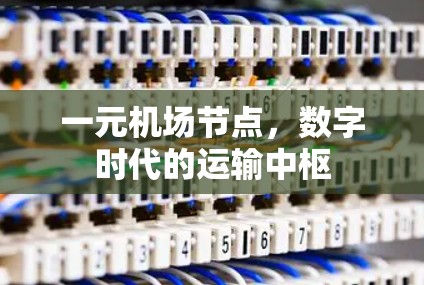 一元机场节点，数字时代的运输中枢