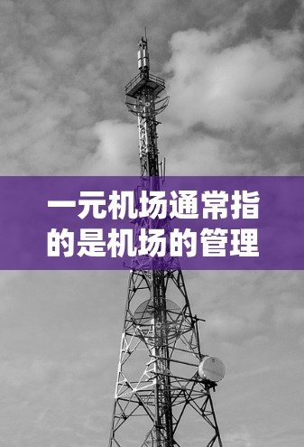 一元机场通常指的是机场的管理和服务效率非常高，游客或工作人员可以方便地到达和离开，没有复杂的安排和等待时间。以下是一元机场的特点