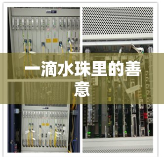 一滴水珠里的善意