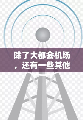 除了大都会机场，还有一些其他城市和地区也可能被视为一元机场。以下是一些常见的例子