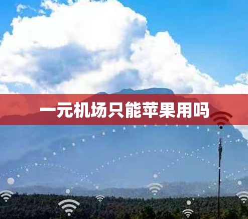 一元机场只能苹果用吗