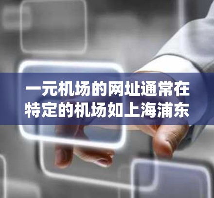 一元机场的网址通常在特定的机场如上海浦东或北京朝阳区存在，比如daxing.com。然而，访问这些网址可能因多种原因而失败